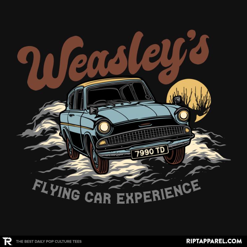 The Flying Car