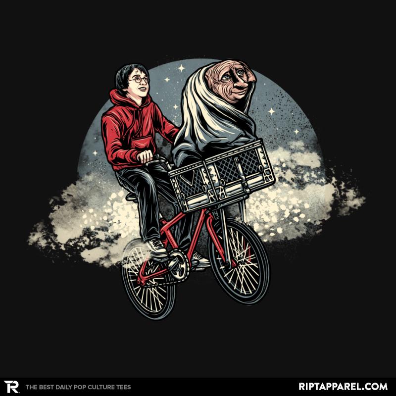 Alternate Universe
