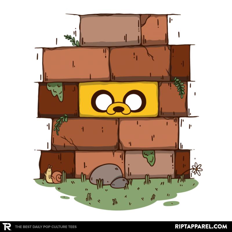 Another Brick in the Wall