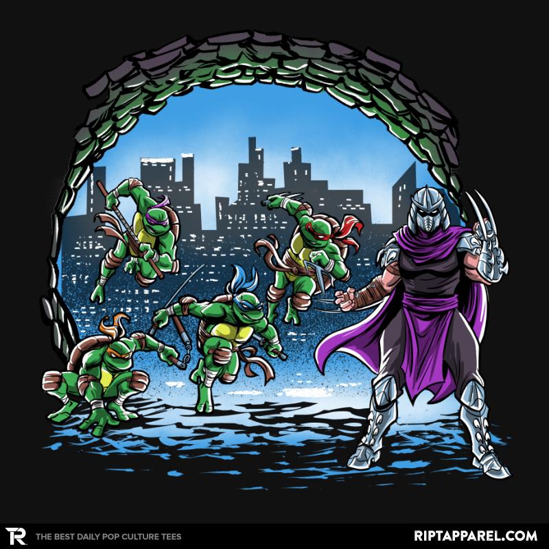 Turtles Cover