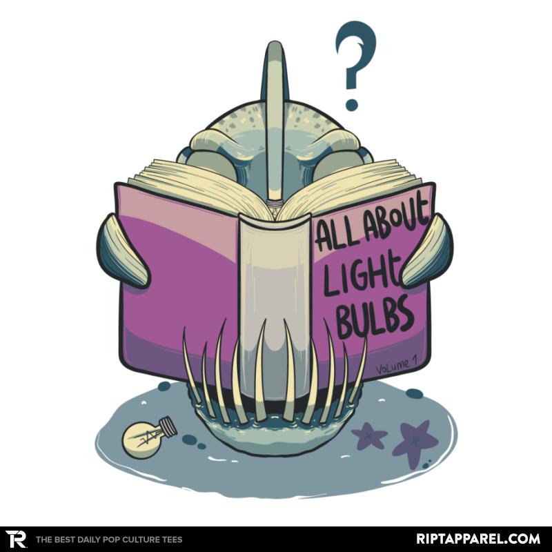 Light Bulbs