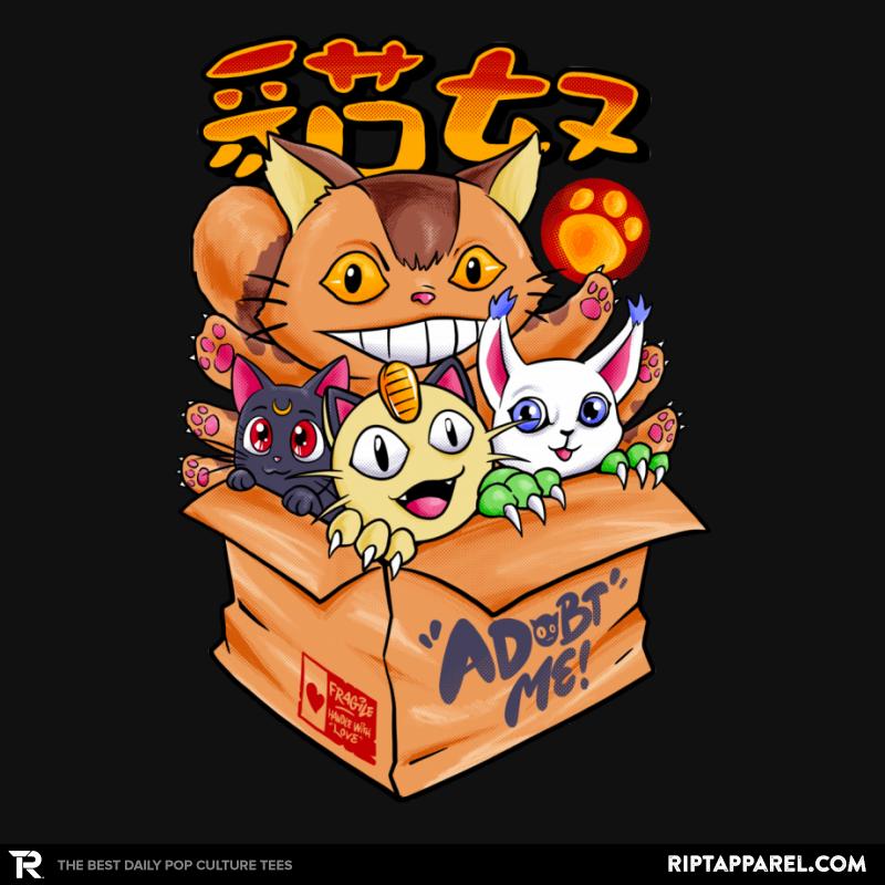 Adobt Populer Cats