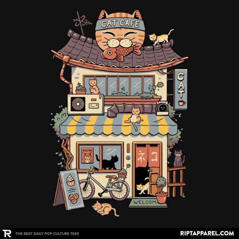 Cat Cafe