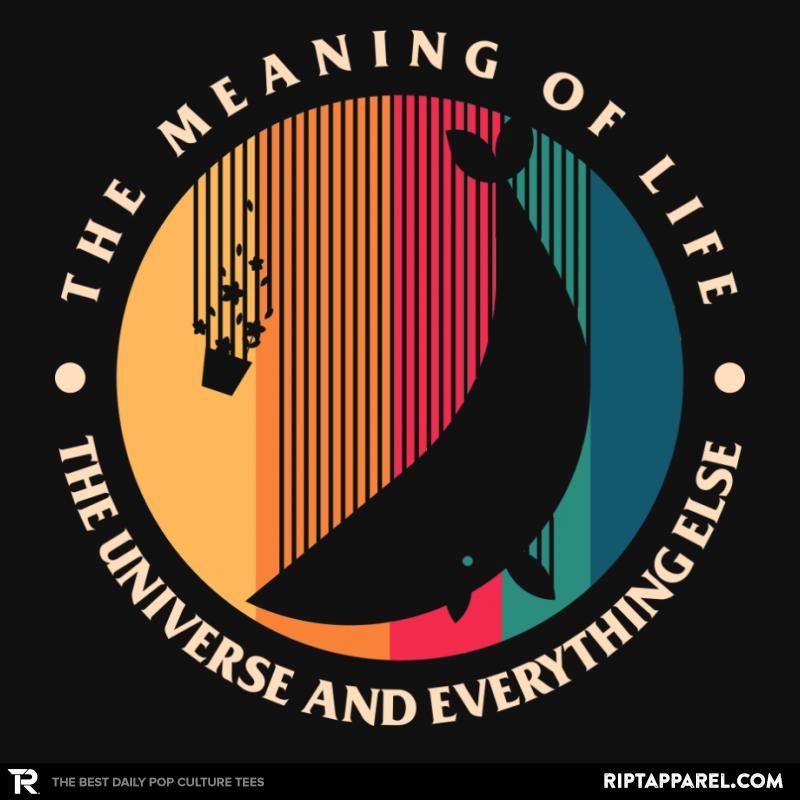 The Meaning Of Life - The Universe And Everything Else