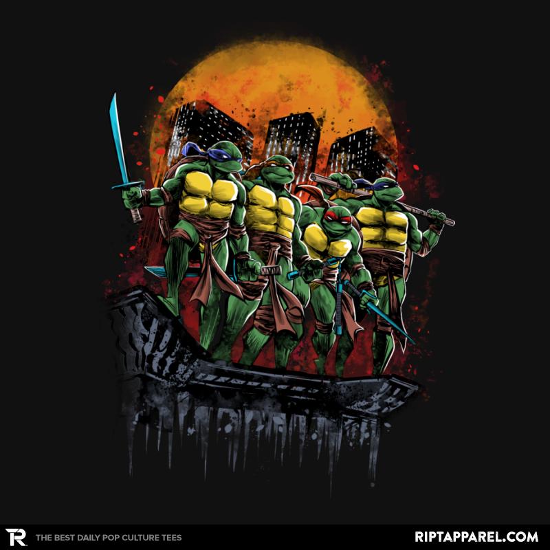 Turtles on the Roof