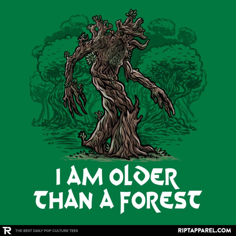 Older Than a Forest