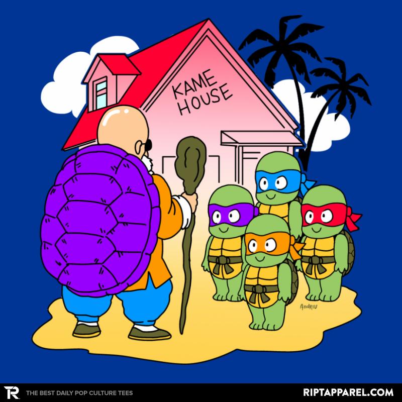Ninja Master