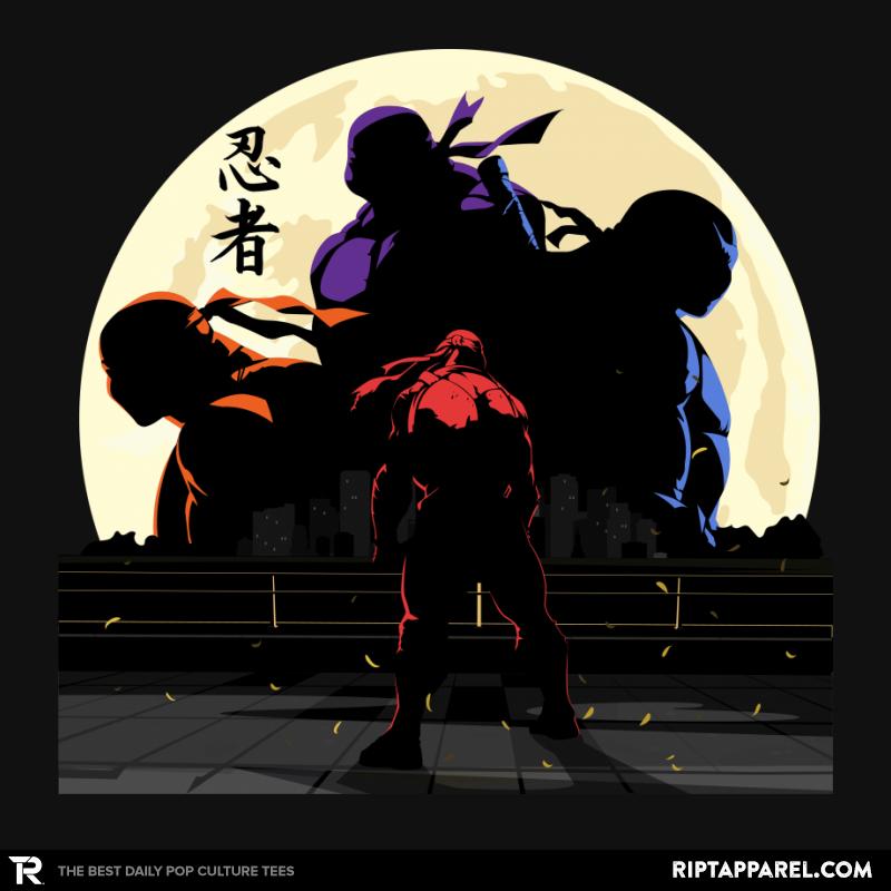 Last Ninja