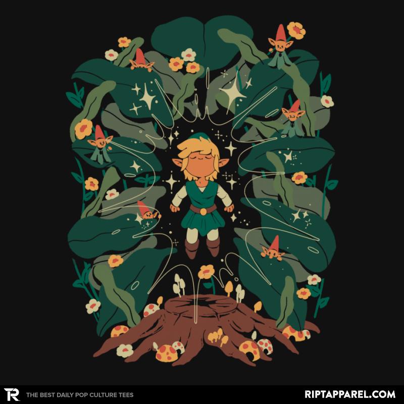 Minish Boy and Gnomes