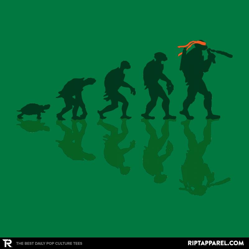Michelangelo Evolution