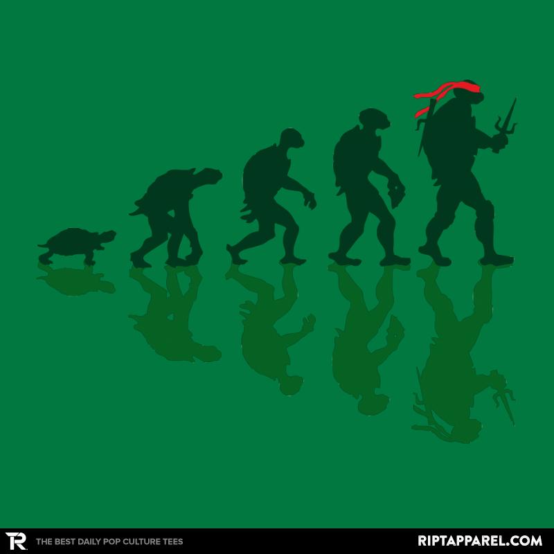 Raphael Evolution
