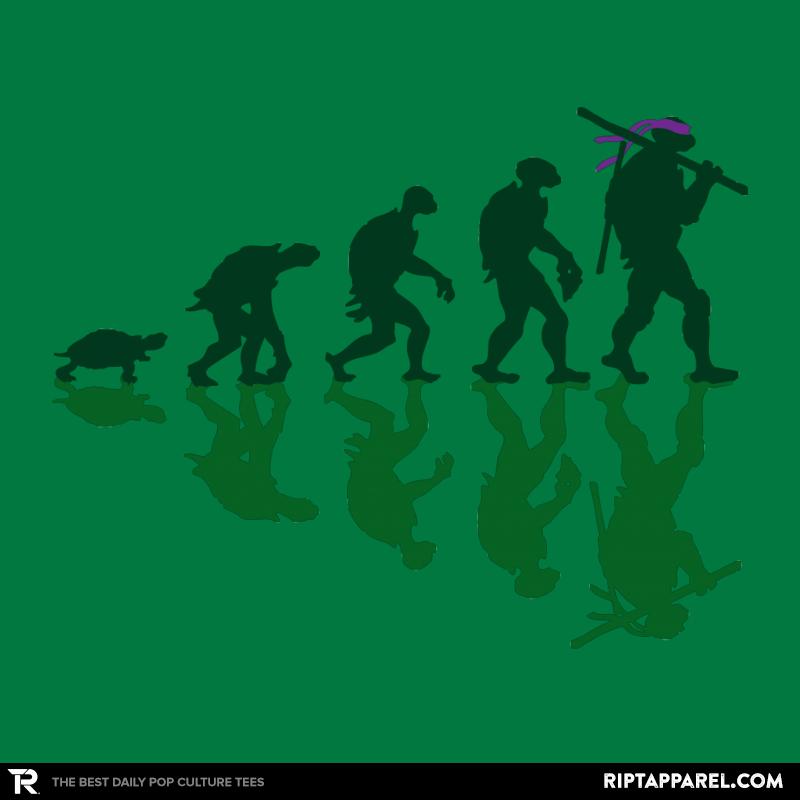 Donatello Evolution