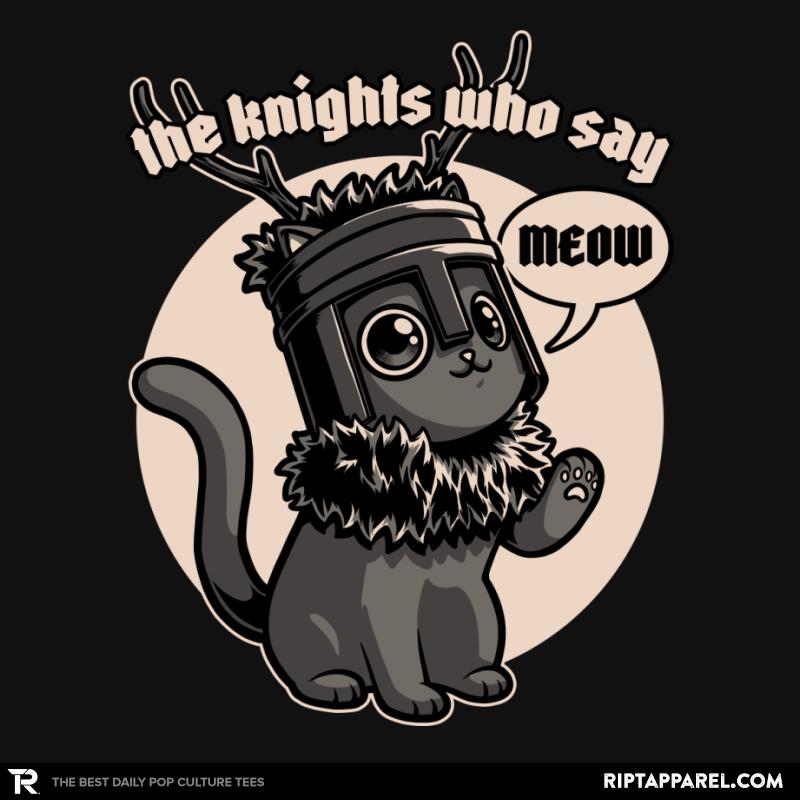 Black Cat Movie Knight