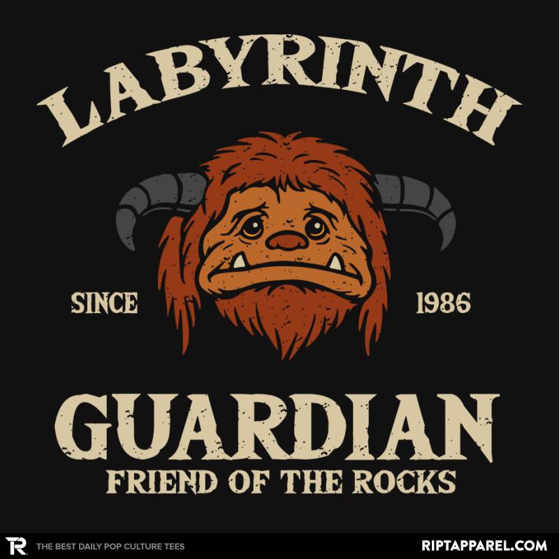 Labyrinth guardian