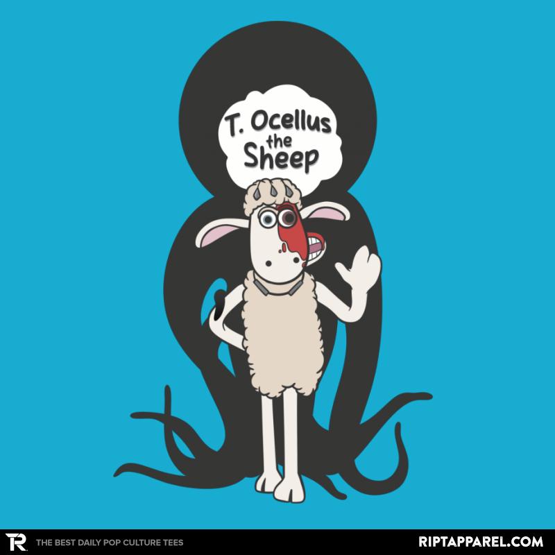 T. Ocellus the Sheep
