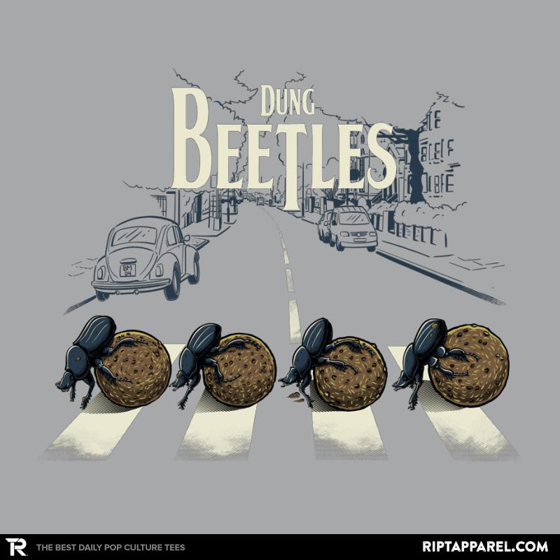 Dung Beetles