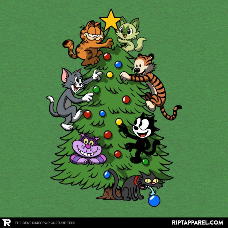 Multiverse of Catmas