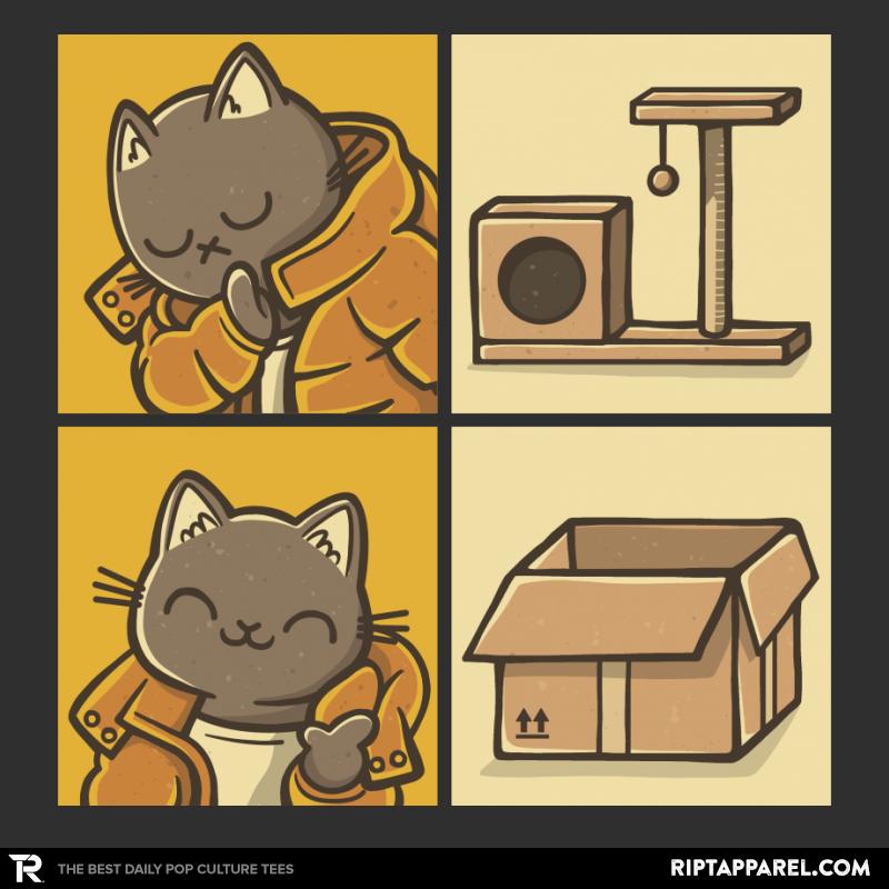 Meme Cat
