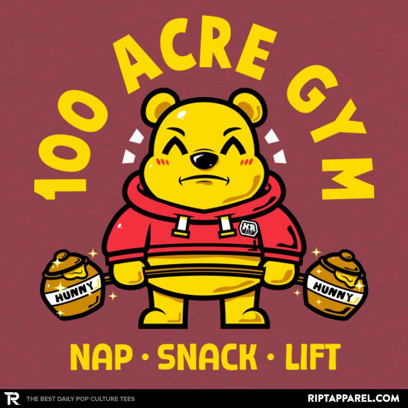 100 ACRE GYM cartoon graphic tee