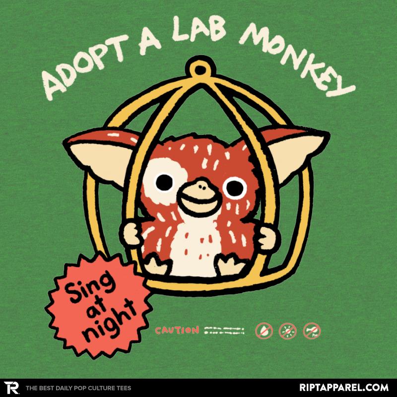Lab Monkey