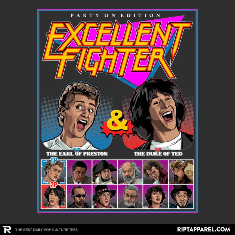 Excellent Fighter 