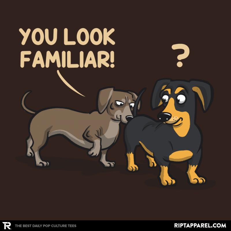 You Look Familiar