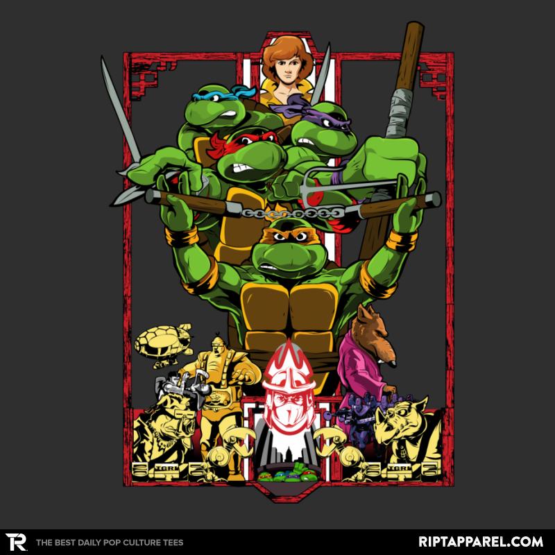 Enter The Turtles