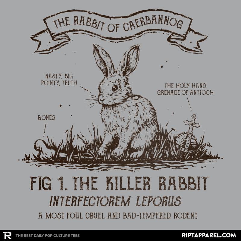 The Rabbit of Caerbannog
