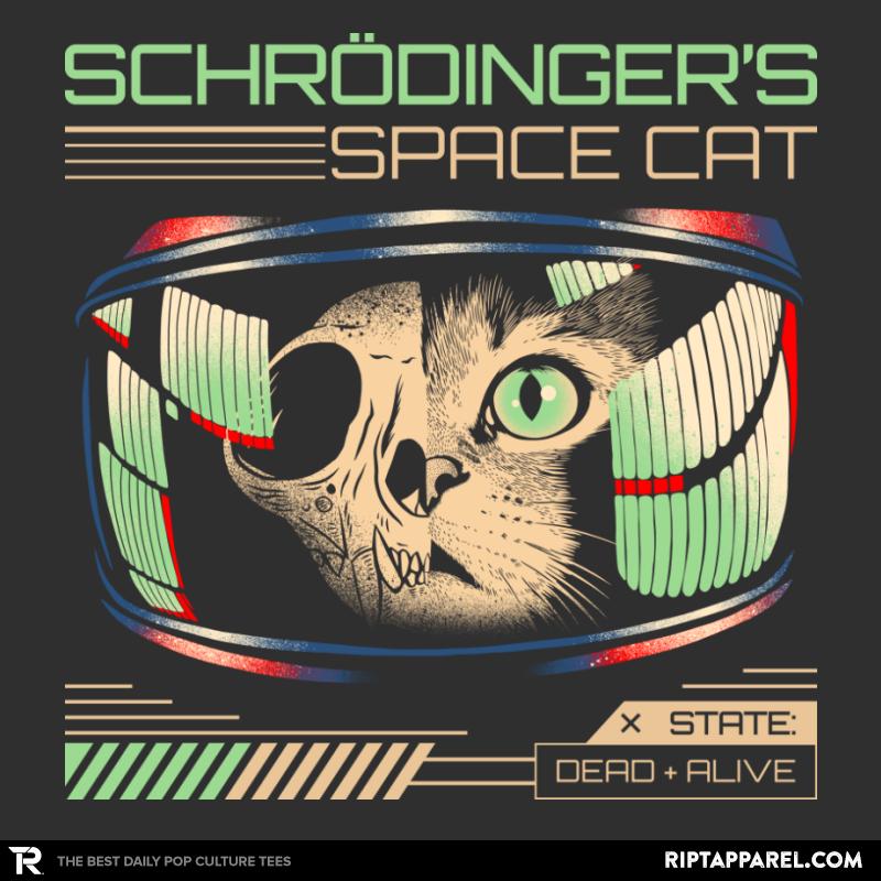 Schrödinger's Space Cat