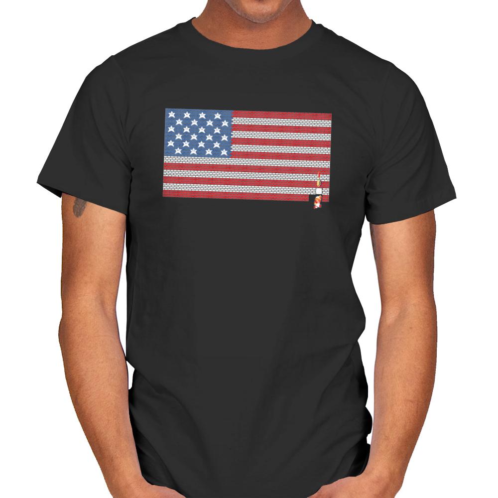Stars and Stripes and Bricks Exclusive
