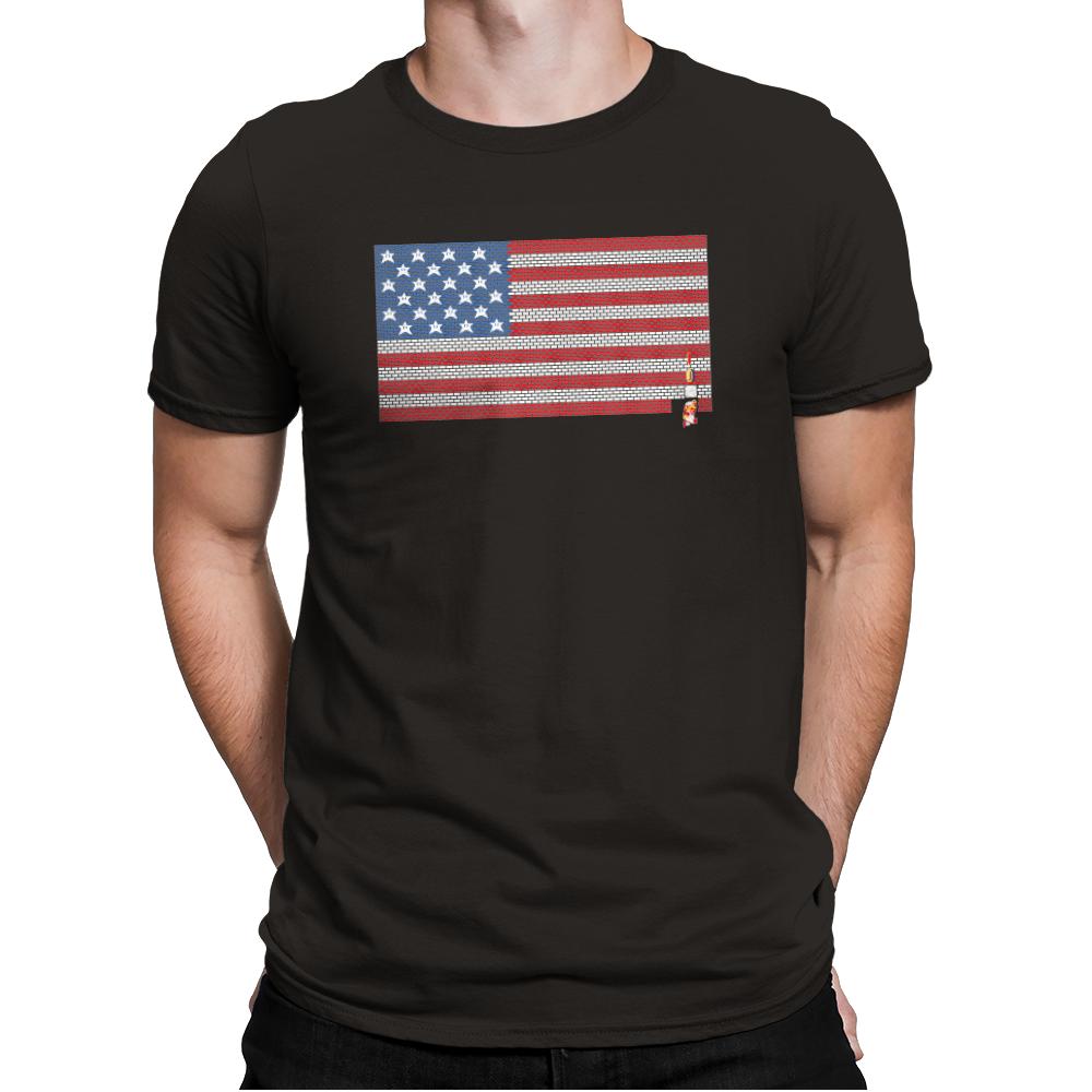 Stars and Stripes and Bricks Exclusive