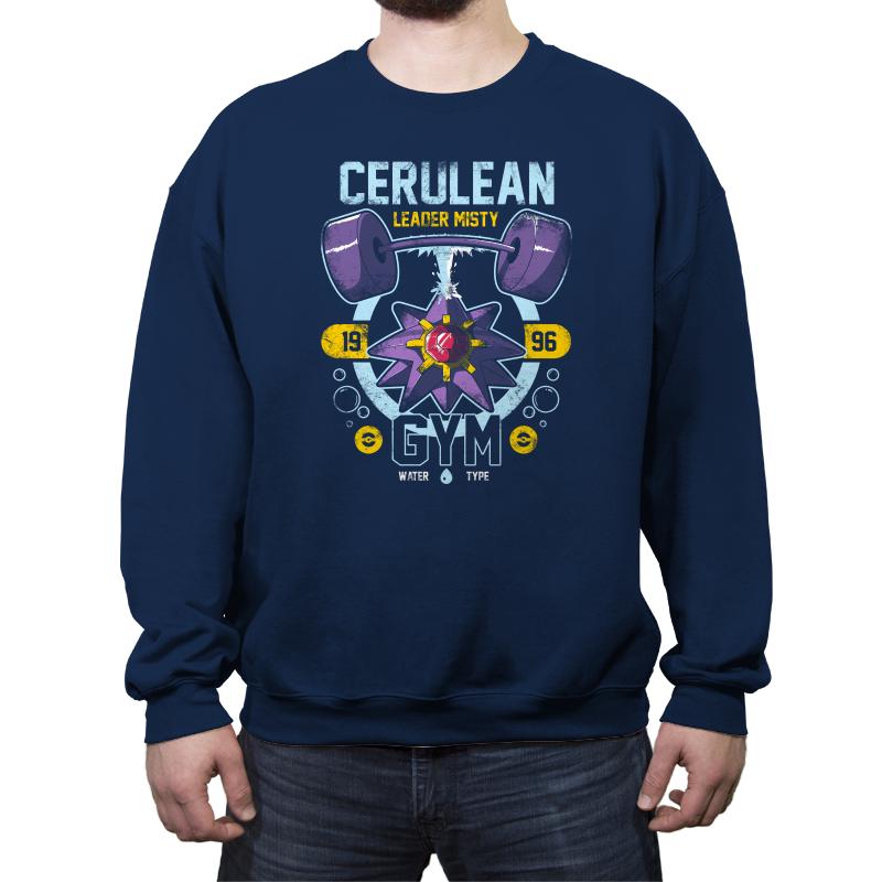 Cerulean Gym - New Year's Evolutions