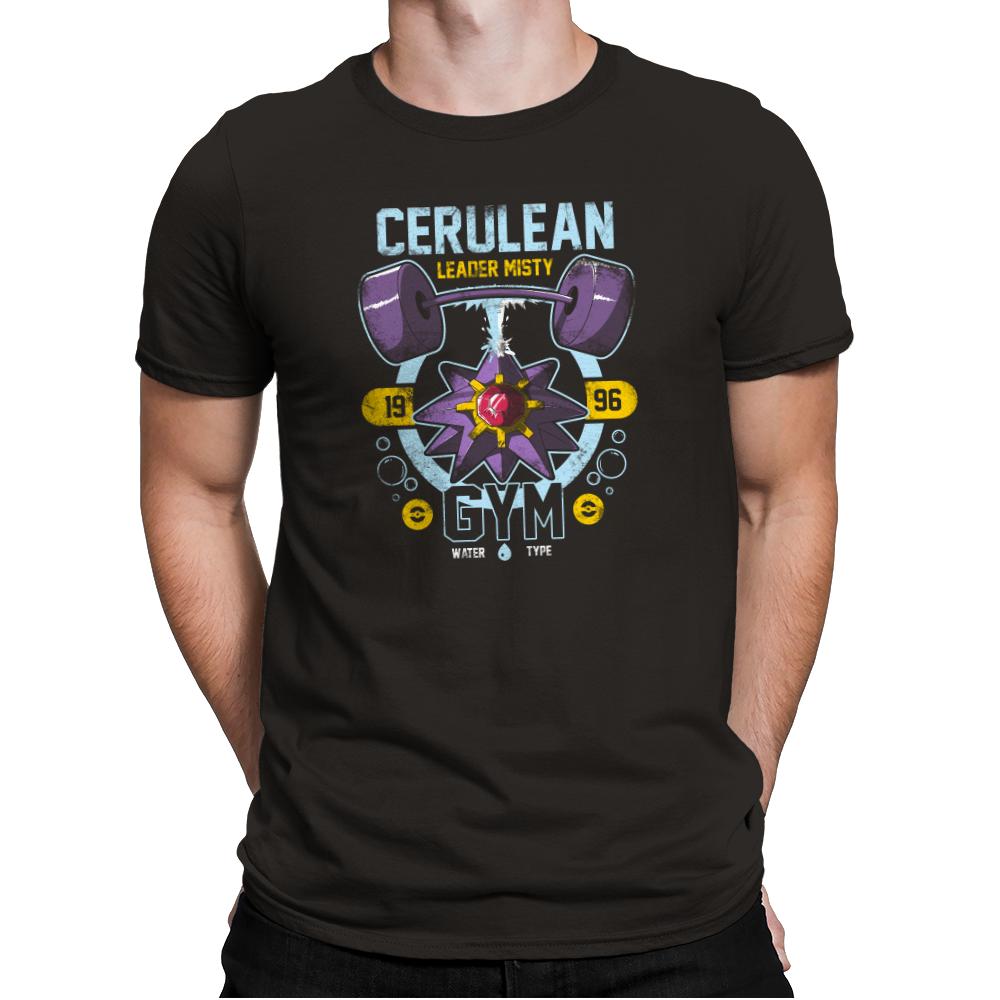 Cerulean Gym - New Year's Evolutions