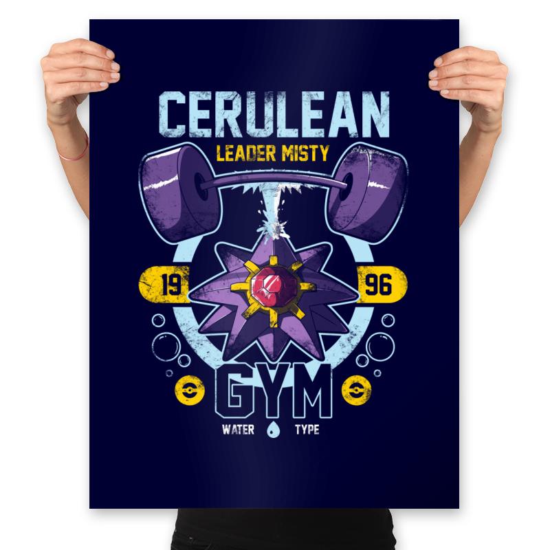 Cerulean Gym - New Year's Evolutions