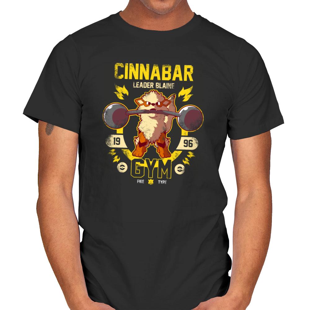 Cinnabar Gym - New Year's Evolutions