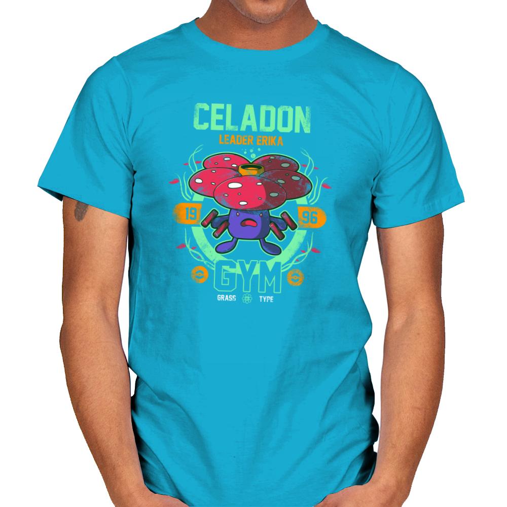 Celadon Gym - New Year's Evolutions