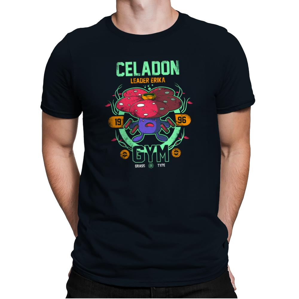 Celadon Gym - New Year's Evolutions