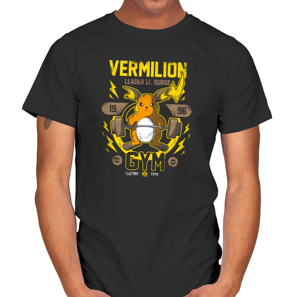 Vermilion Gym - New Year's Evolutions