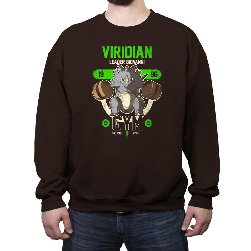 Viridian Gym - New Year's Evolutions