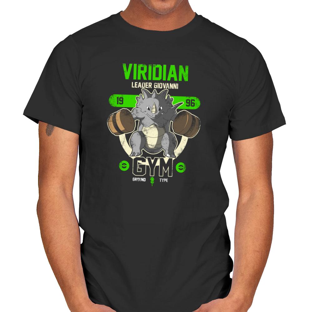Viridian Gym - New Year's Evolutions