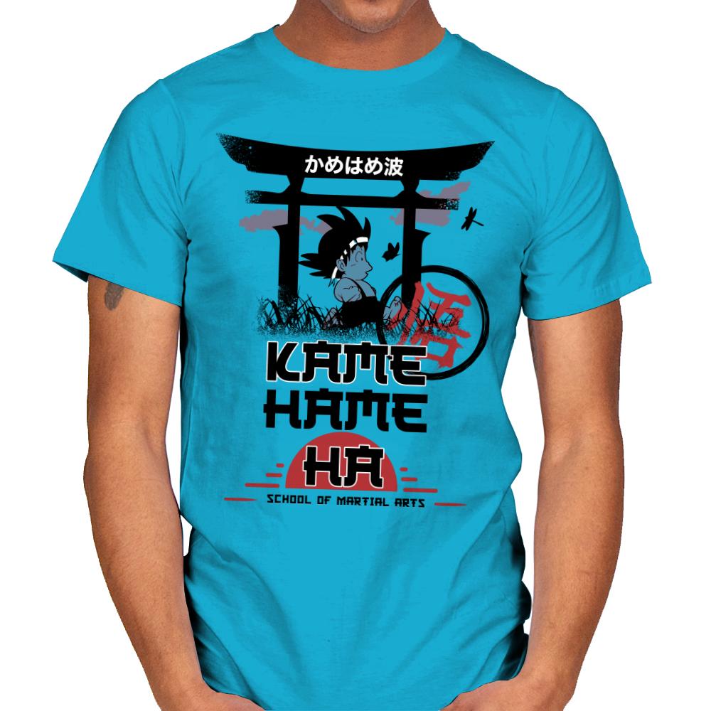 Kame School Of Martial Arts