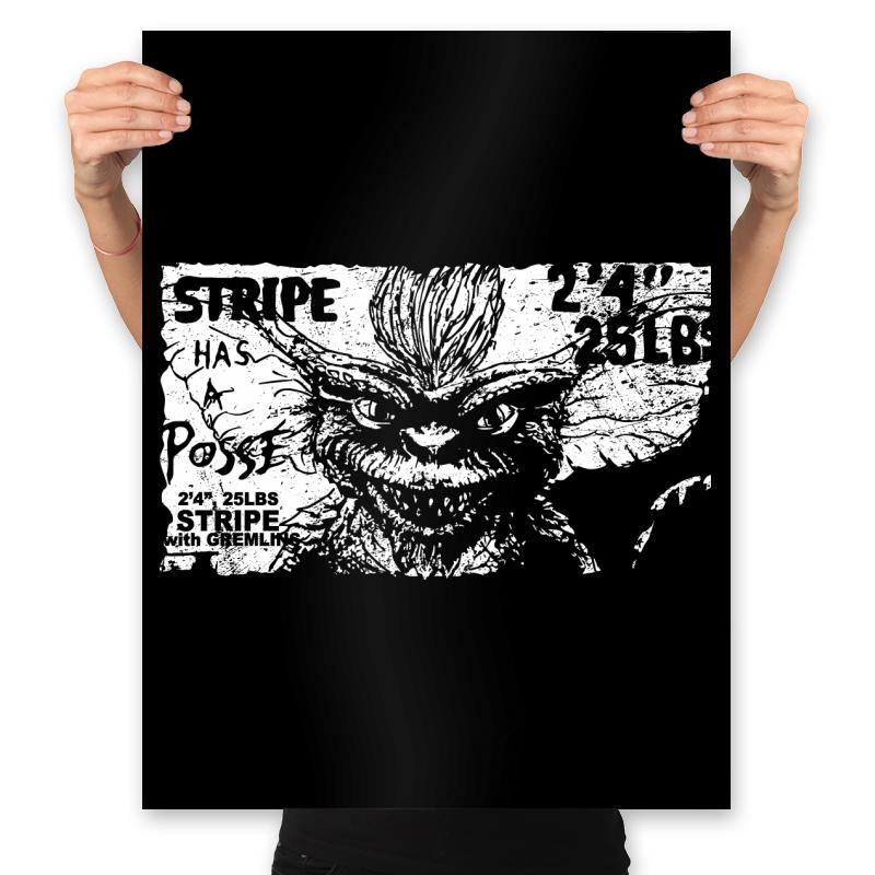 Stripe Has a Posse