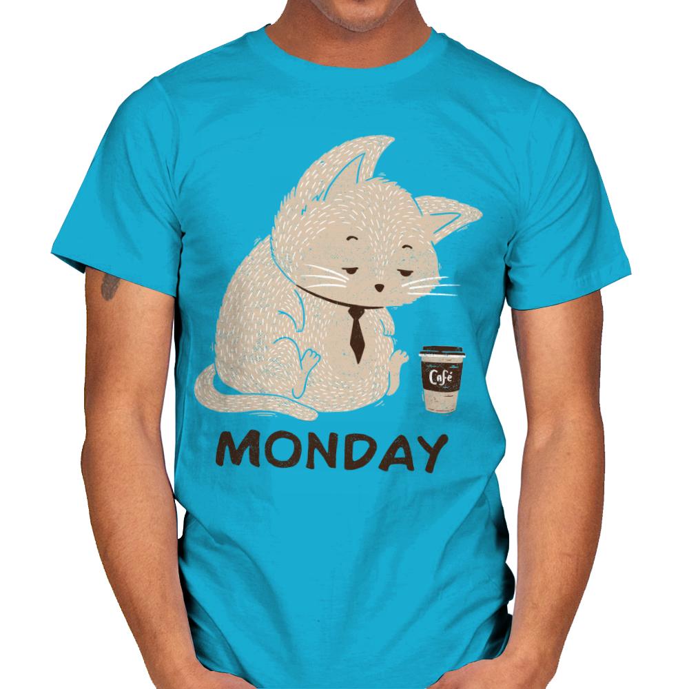 Monday Cat