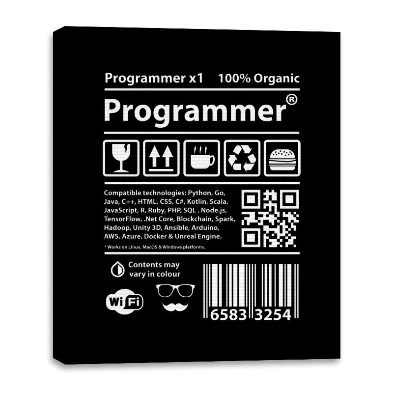 Programmer
