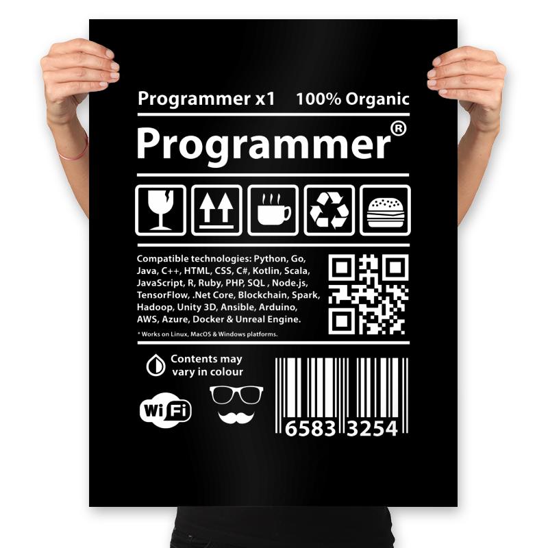 Programmer