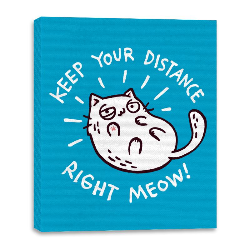 Keep Your Distance Right Meow