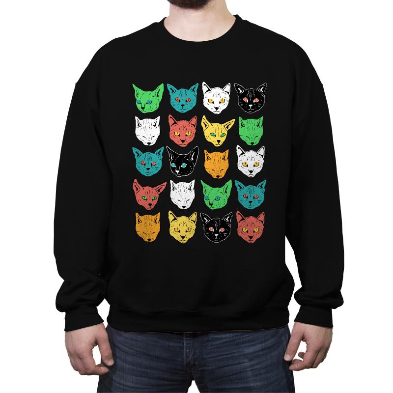 Ranom Cats