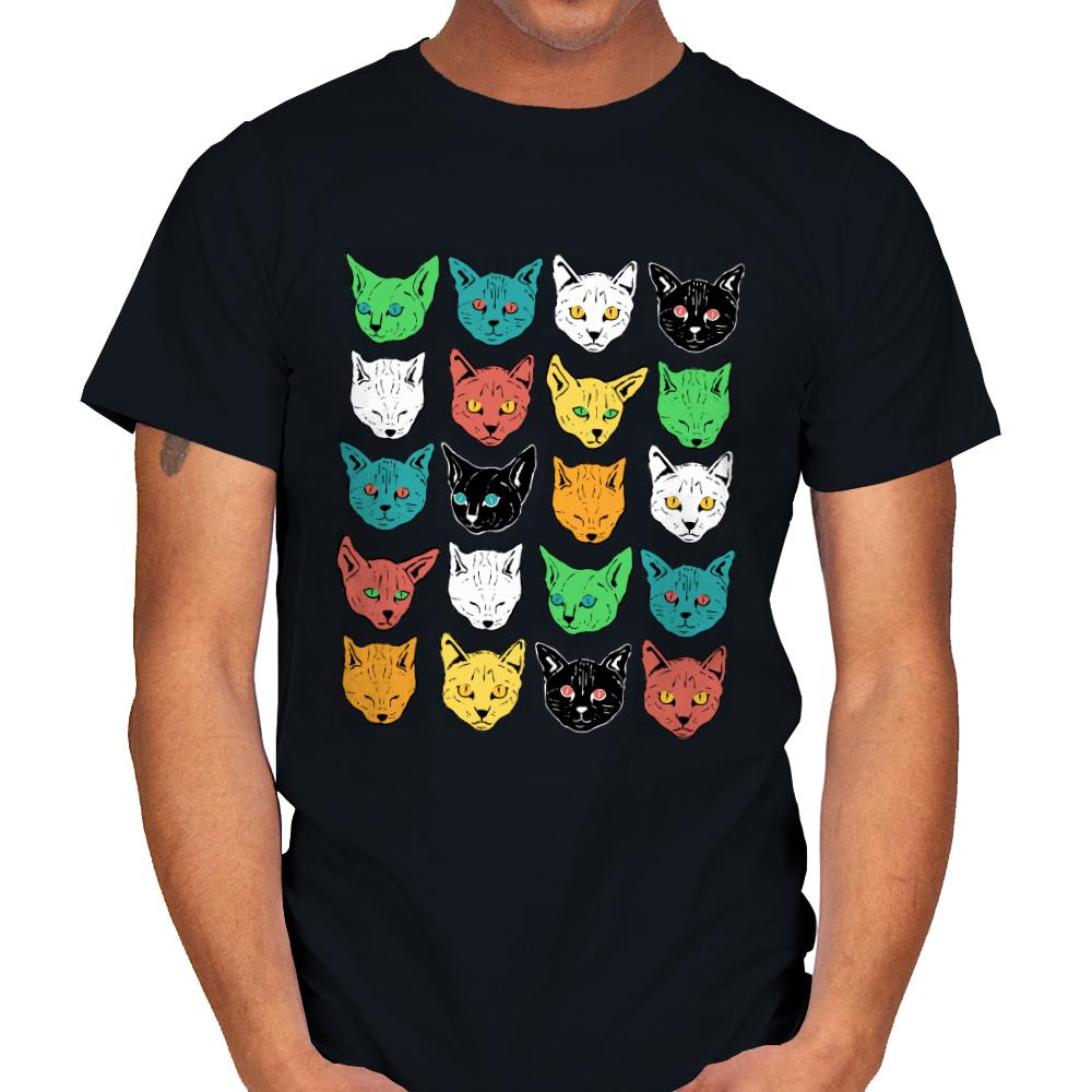Ranom Cats