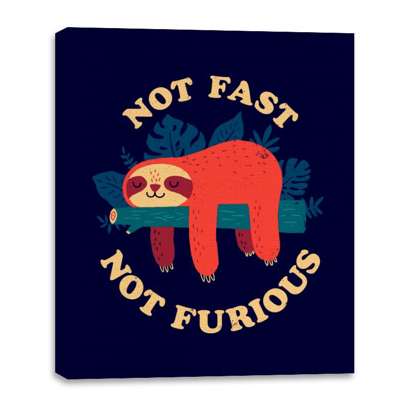 Not Fast Not Furious