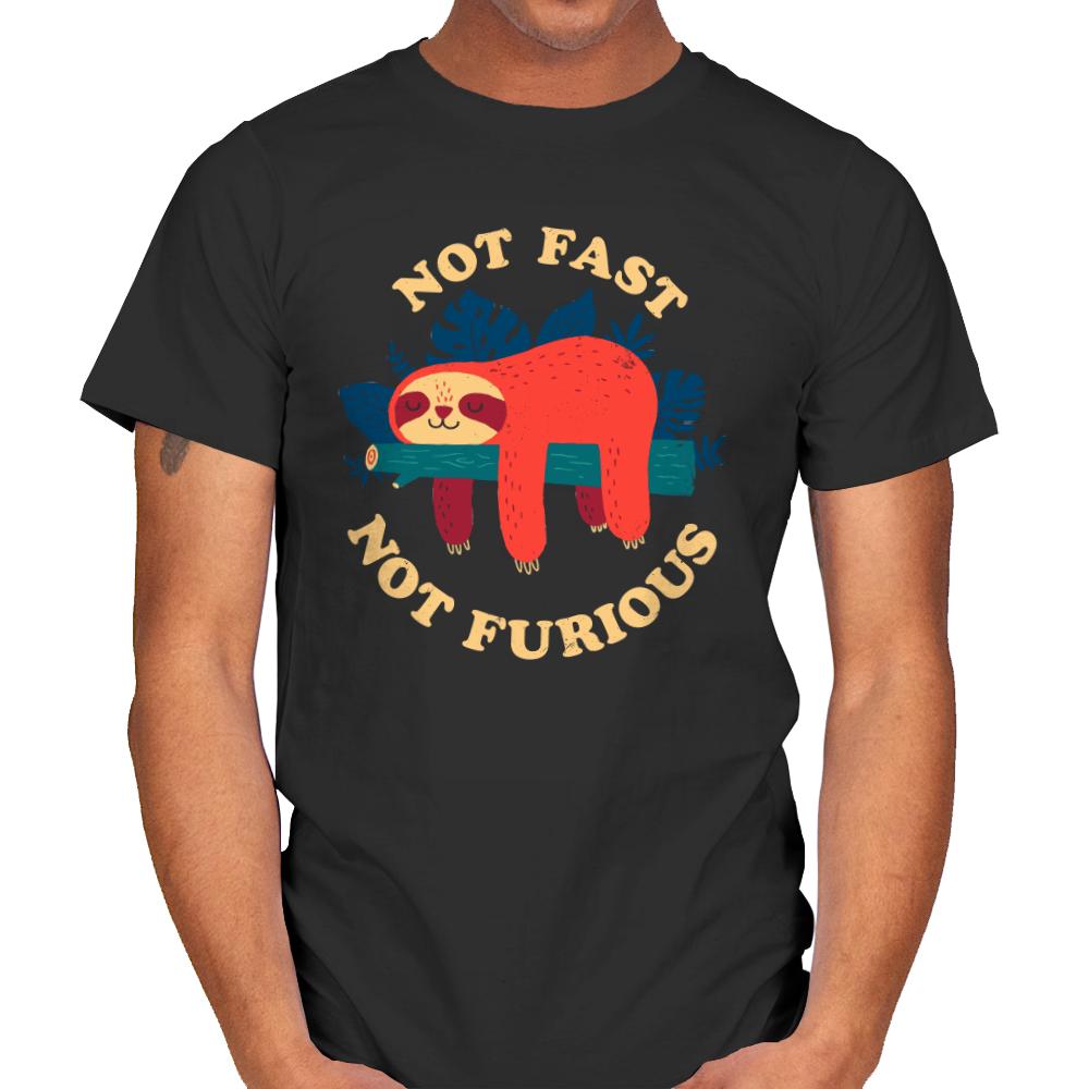 Not Fast Not Furious